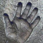 A hand of a child holding its mother's skirt.